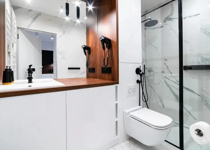 Deluxe Karkonoska 13 Nr 4 Triventi Mountain 公寓 *